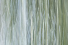 AlanKlughammer.com_20141115-20141115-_AKP4567-Edit