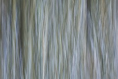 AlanKlughammer.com_20141115-20141115-_AKP4568-Edit