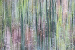 AlanKlughammer.com_20141115-20141115-_AKP4703-Edit