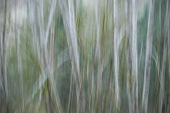 AlanKlughammer.com_20141115-_AKP4634-Edit