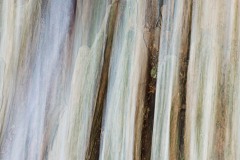 20x30  $600