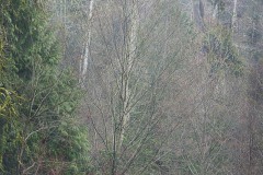 AlanKlughammer.com_20150208-20150208-_AKP6341-Edit.no_log