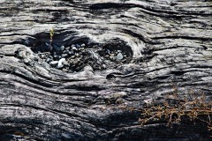 AlanKlughammer.com_20150803-_AKP1041-Edit