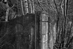 20x30 print $600
13x19 print $300
8x10 print $100