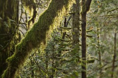 AlanKlughammer.com_20151225-_AKP0027-Edit