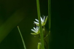 AlanKlughammer.com_DSCF0013