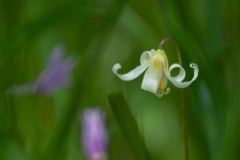 AlanKlughammer.com_DSCF0036