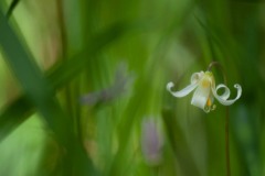 AlanKlughammer.com_DSCF0037