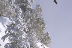 AlanKlughammer.com_dscf8625-final