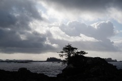 AlanKlughammer.com_20250331-_AZ71586