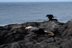 AlanKlughammer.com_20250331-_AZ71659