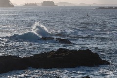 AlanKlughammer.com_20250401-_AZ72164