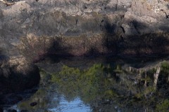 AlanKlughammer.com_20250401-_AZ72271