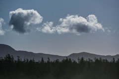 AlanKlughammer.com_20250402-_AZ72610