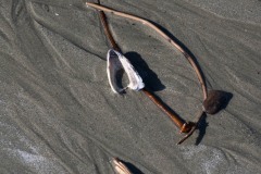 AlanKlughammer.com_20250402-_AZ72614