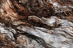 AlanKlughammer.com_20250402-_AZ72620