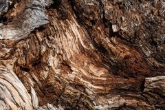 AlanKlughammer.com_20250402-_AZ72625