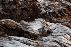 AlanKlughammer.com_20250402-_AZ72626