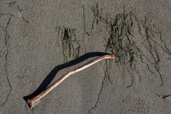 AlanKlughammer.com_20250402-_AZ72633