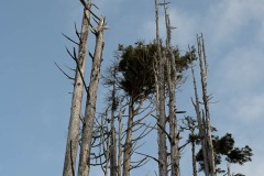AlanKlughammer.com_20250403-_AZ72740