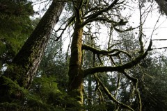 AlanKlughammer.com_20250404-_AZ72828
