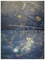 Diptych