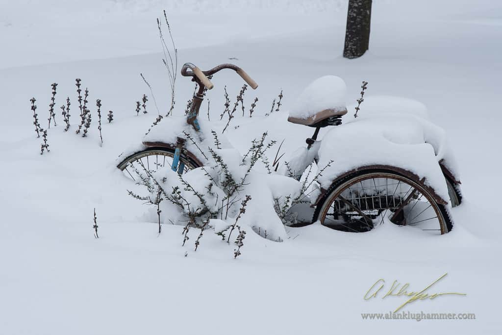 Snow Day – 2020