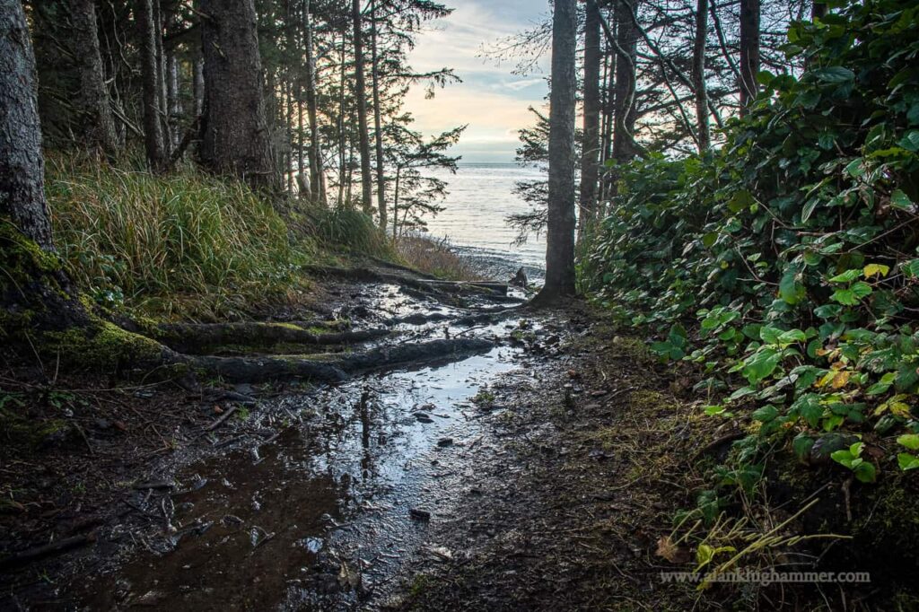 A walk in the woods