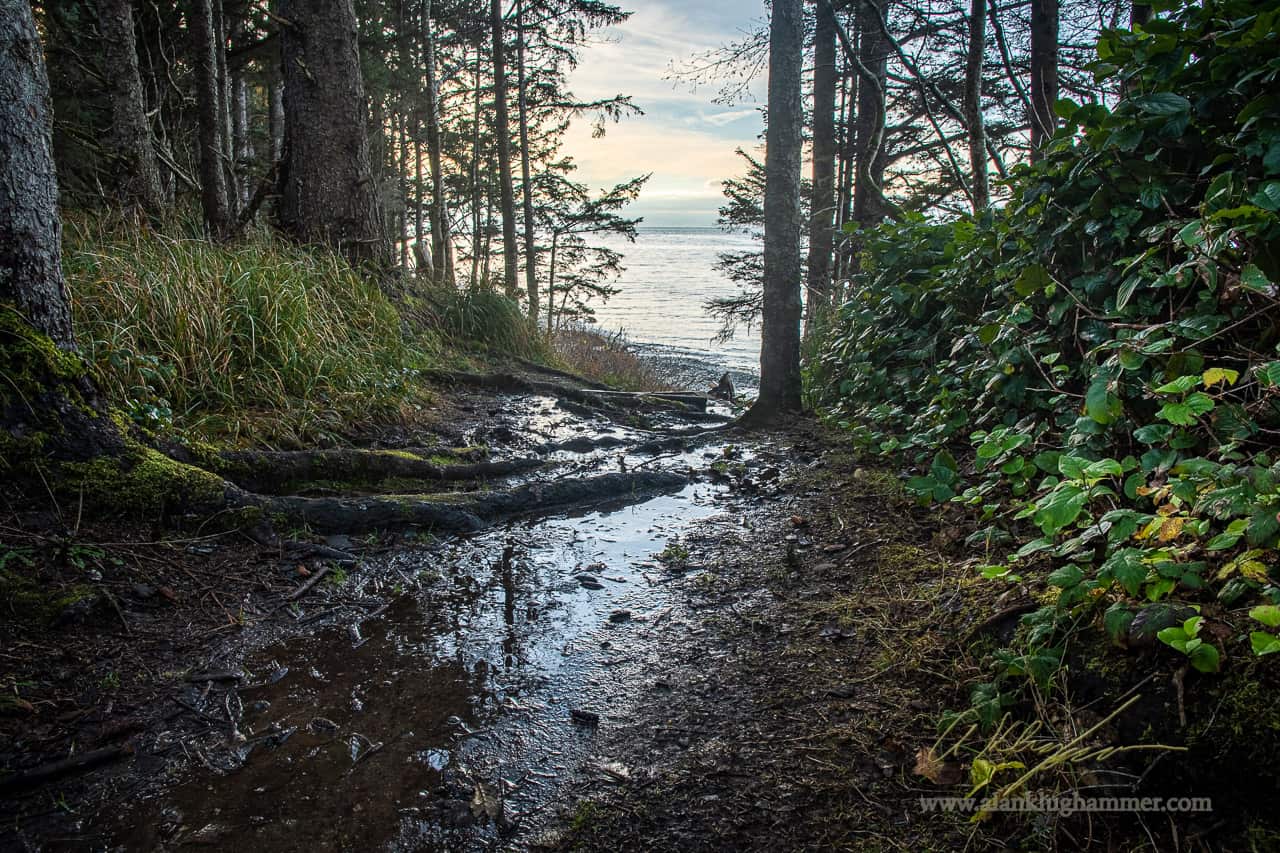 A walk in the woods
