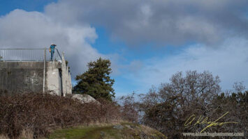 Mount Tolmie